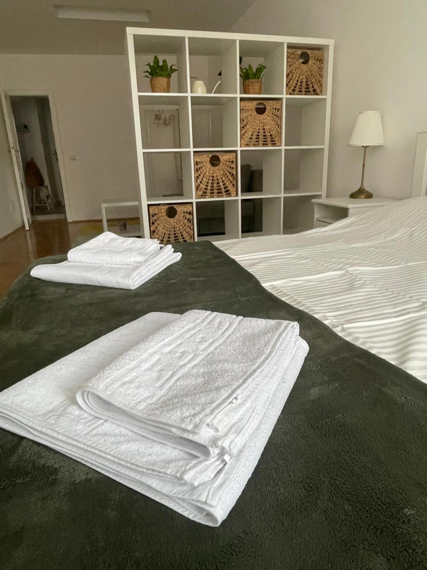 Cozy Stay Braşov Esterno foto